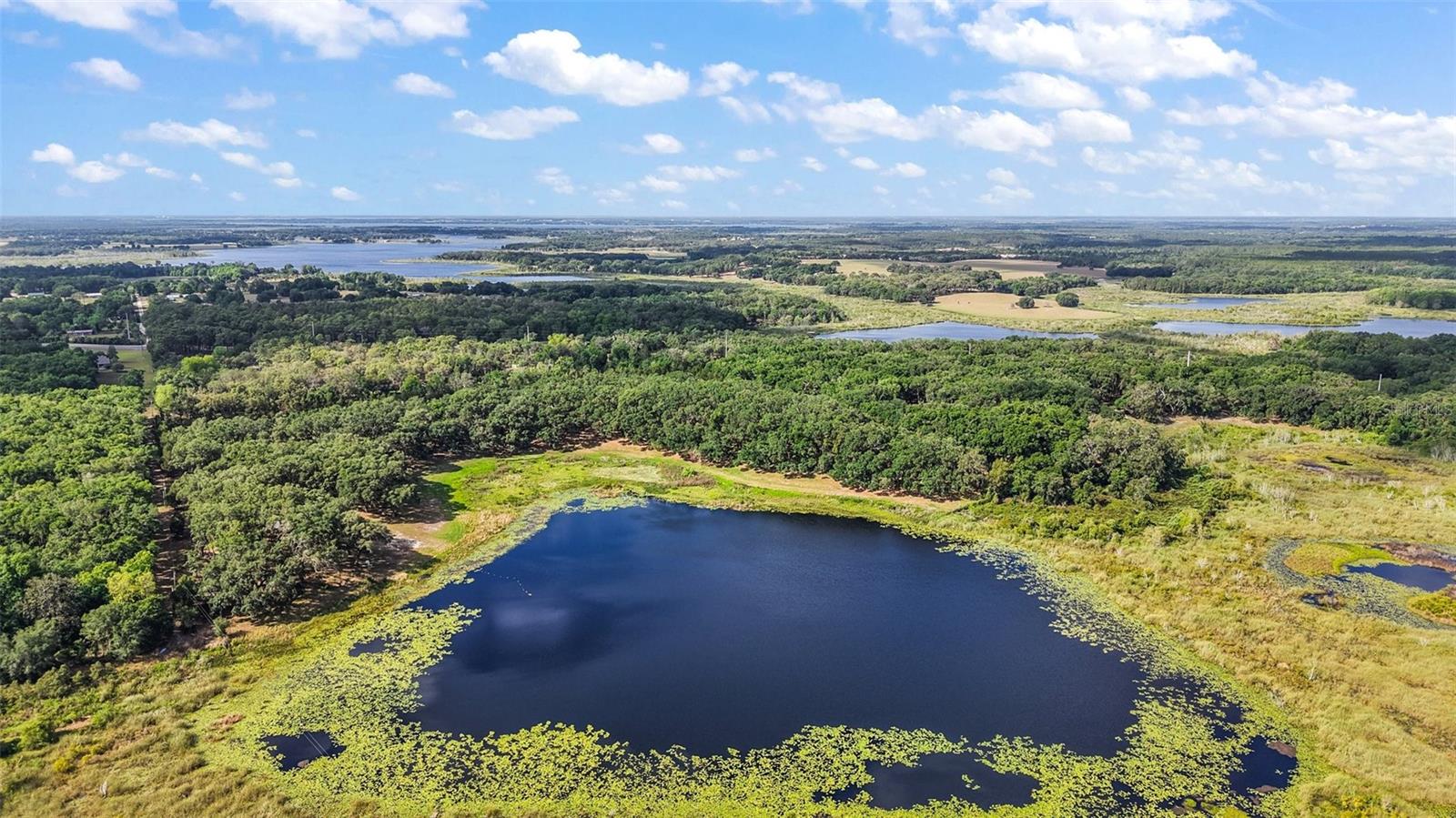 NICOTOON LAKE - Residential