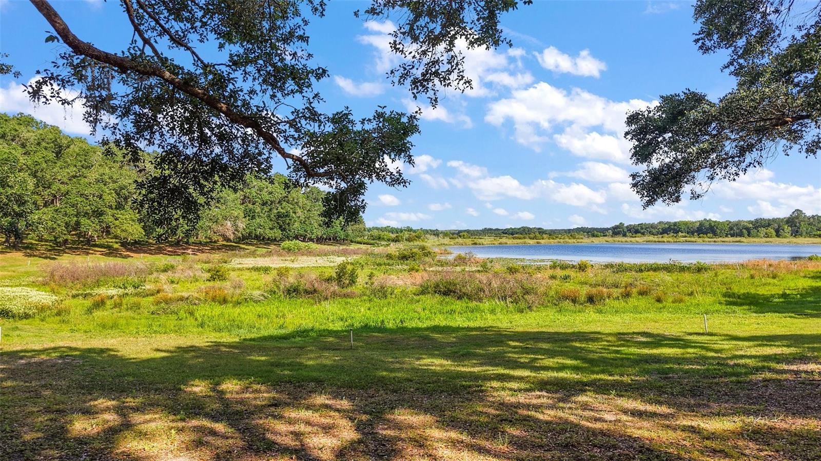 NICOTOON LAKE - Residential