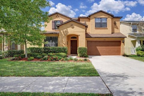 Photo of 2514 Cross More Street, Valrico, FL 33594 (MLS # W7884983)