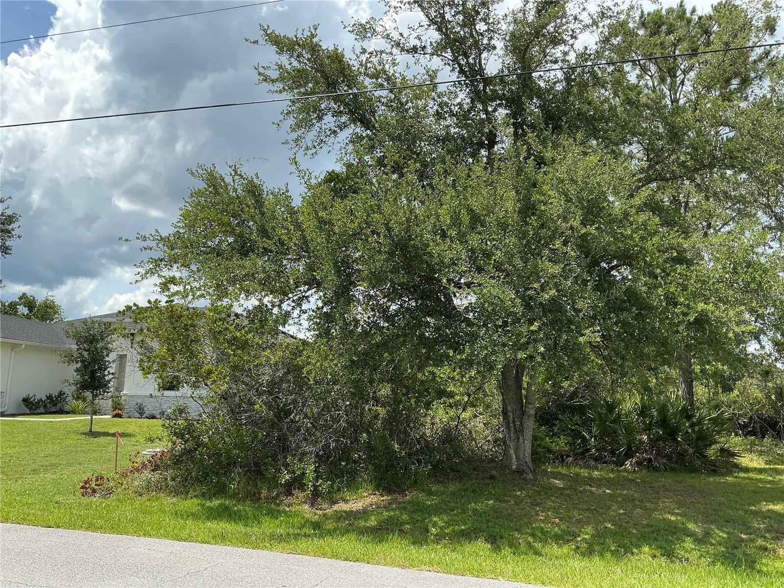 29 LOUISIANA DRIVE
