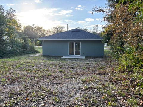 A home in DELAND