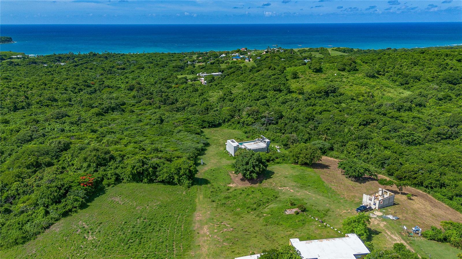 BO TAMARINDO