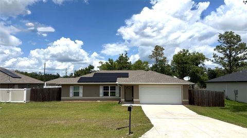 11 MALAUKA RADIAL DRIVE OCKLAWAHA FL 32179