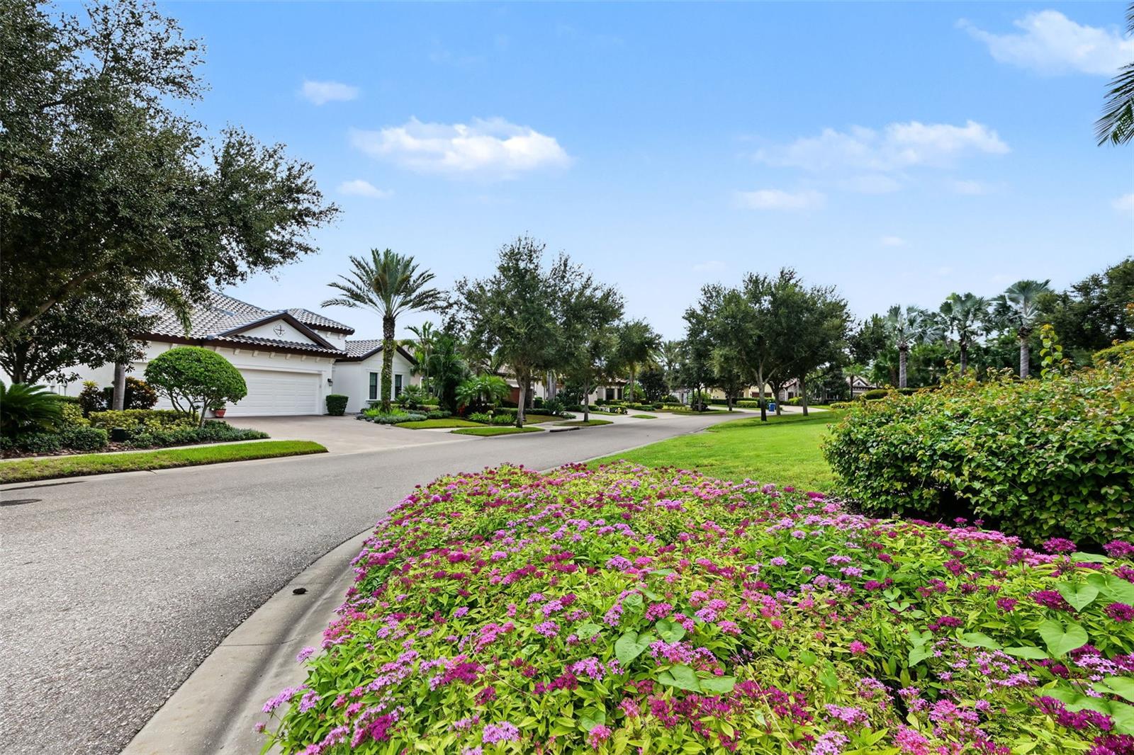 1366 VIA VERDI DRIVE