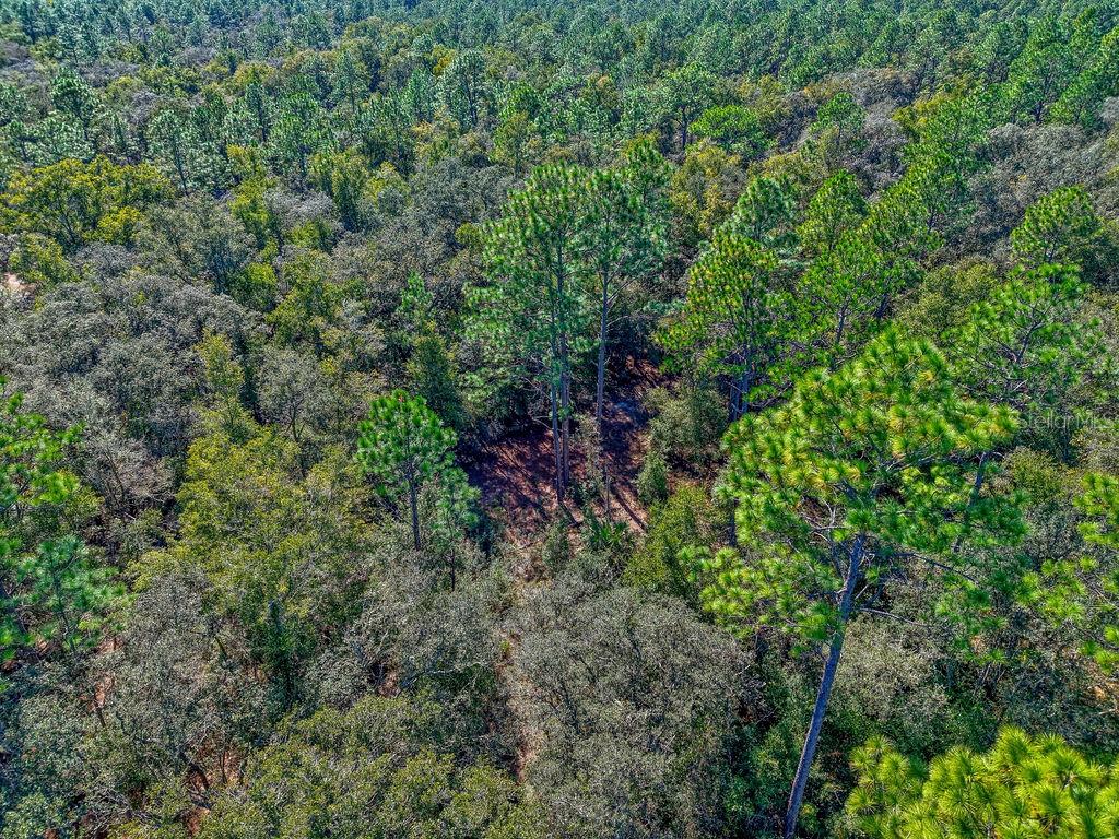 RAINBOW ESTATES UNIT 03 UNREC - Land