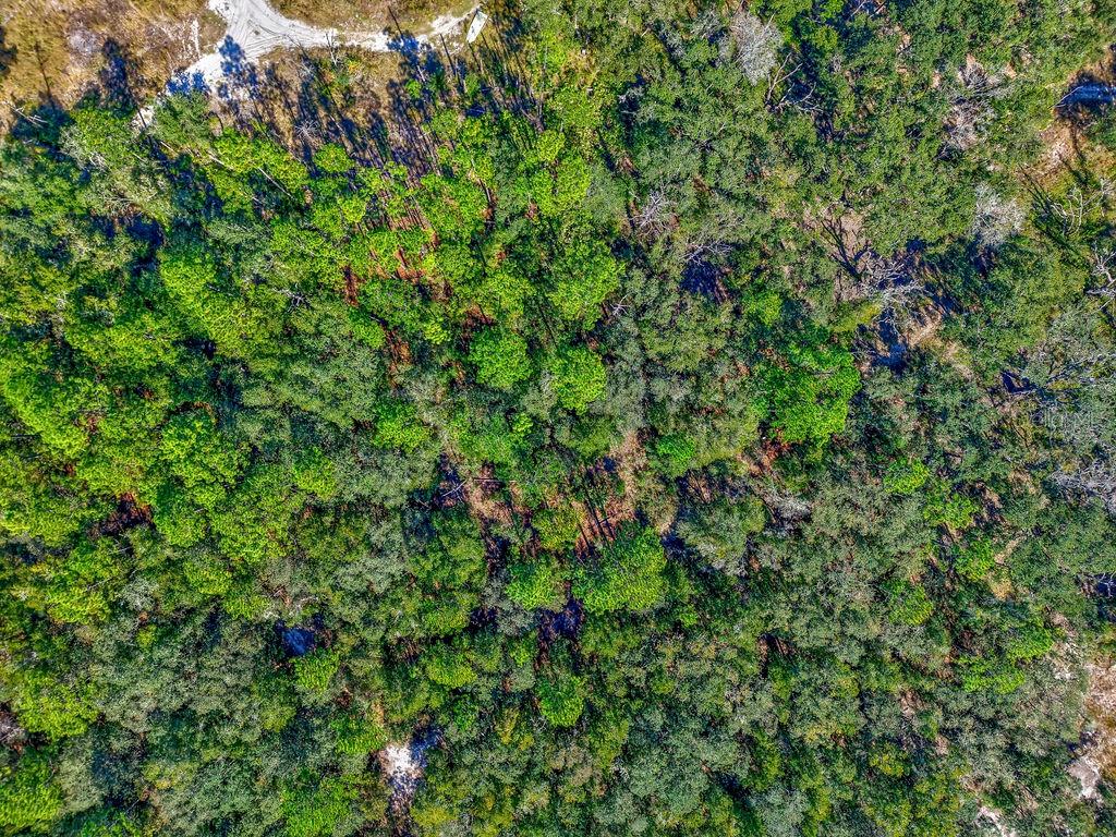 RAINBOW ESTATES UNIT 03 UNREC - Land