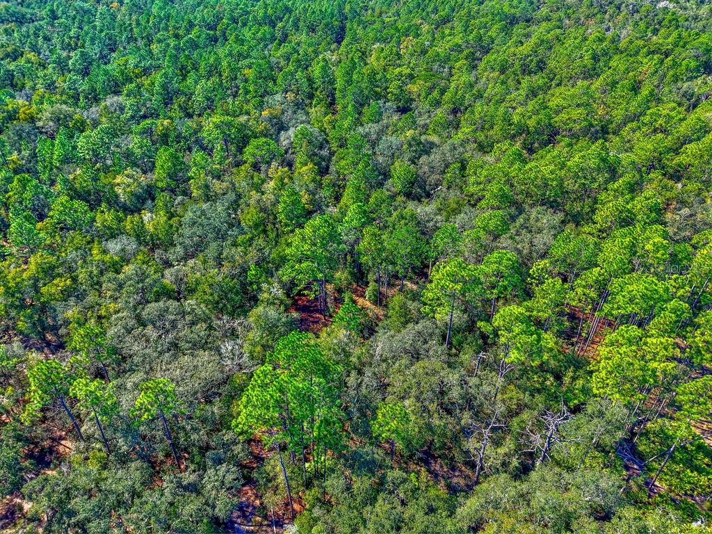 RAINBOW ESTATES UNIT 03 UNREC - Land