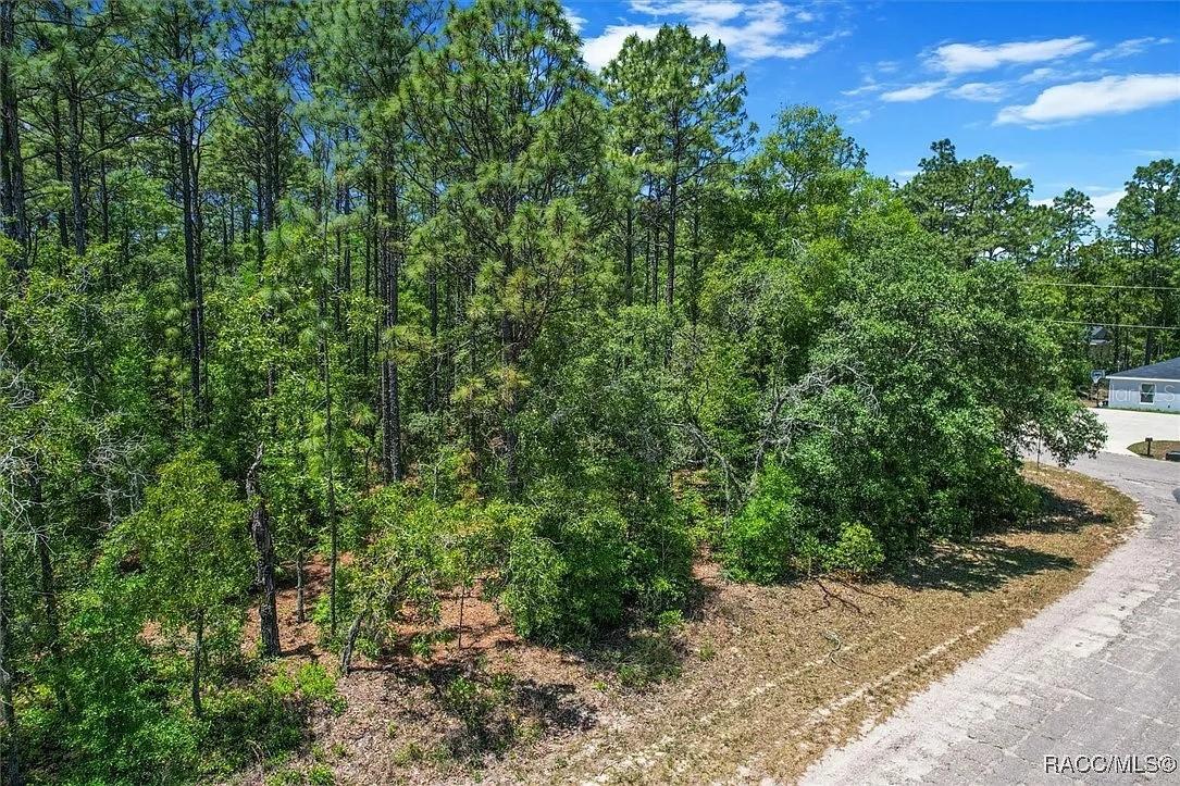 CITRUS SPGS UNIT 01 - Land