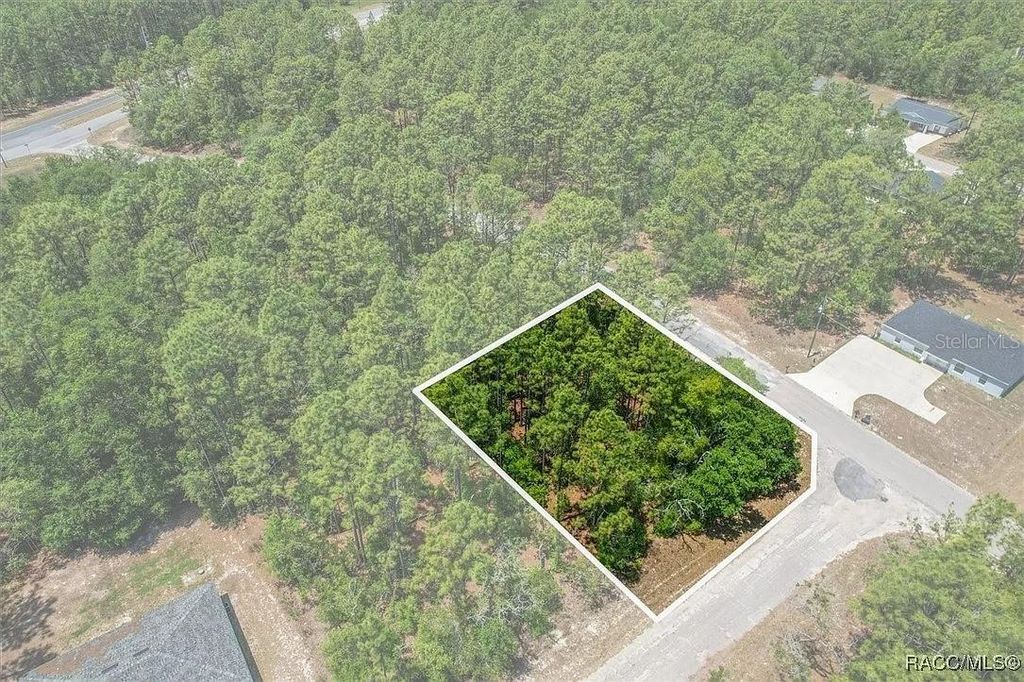 Photo of 9410 N Peachtree Way, Citrus Springs, FL 34434 (MLS # TB8450769)