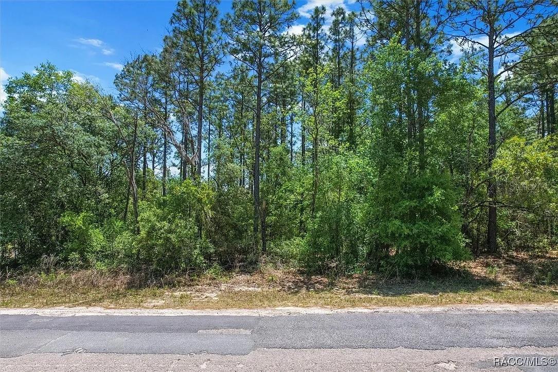 CITRUS SPGS UNIT 01 - Land