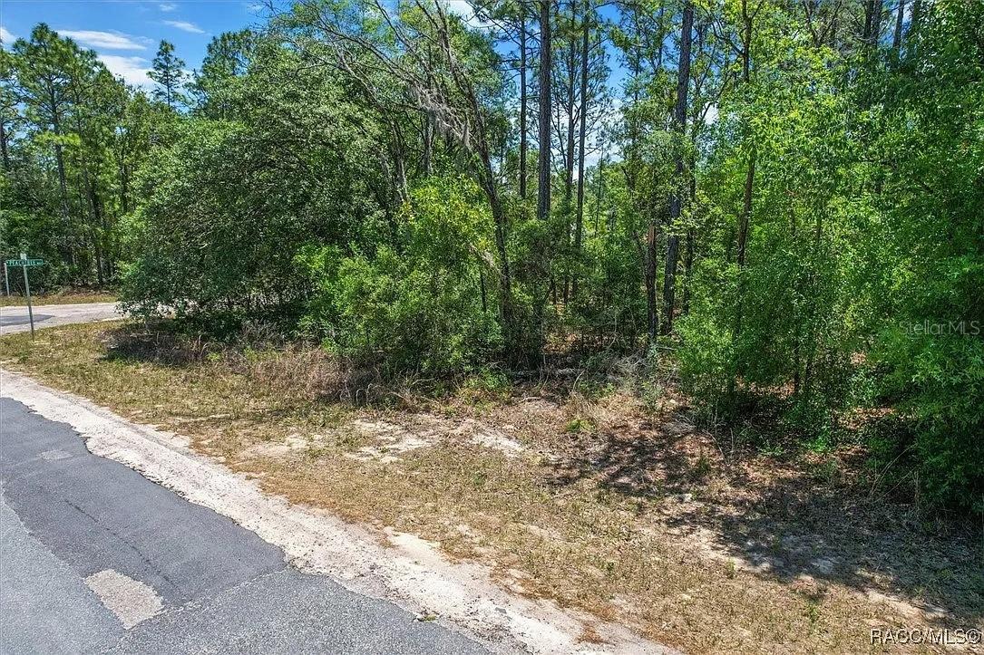 CITRUS SPGS UNIT 01 - Land