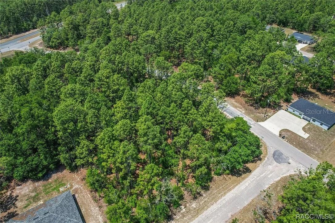 CITRUS SPGS UNIT 01 - Land