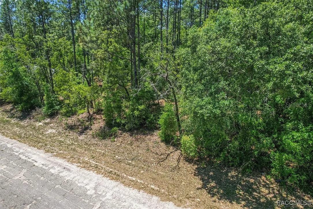 CITRUS SPGS UNIT 01 - Land