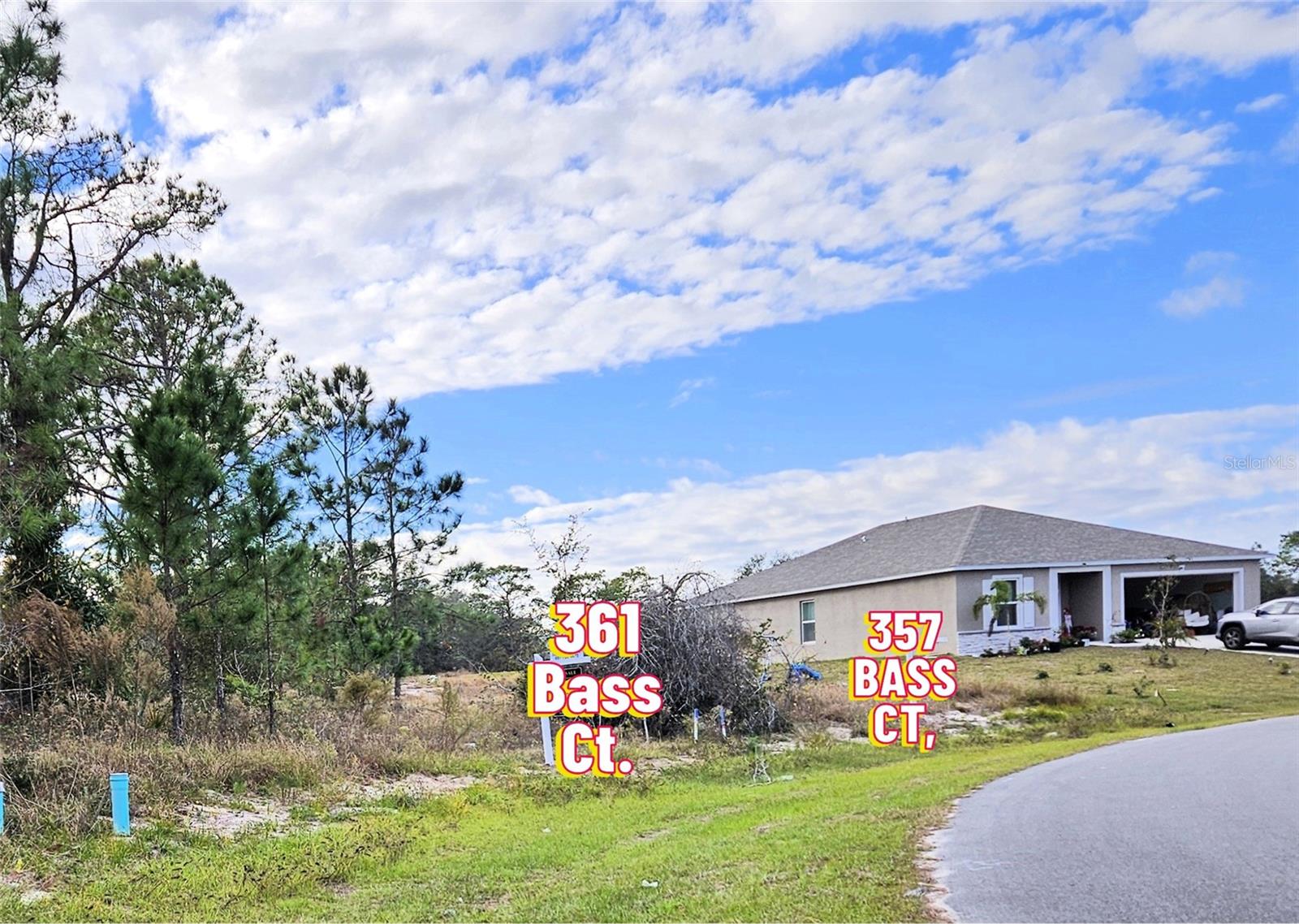 361 BASS COURT