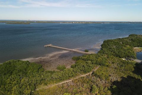 A home in PALMETTO