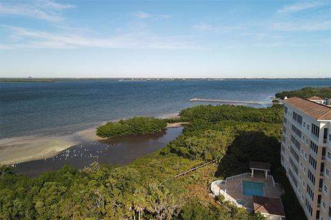 A home in PALMETTO