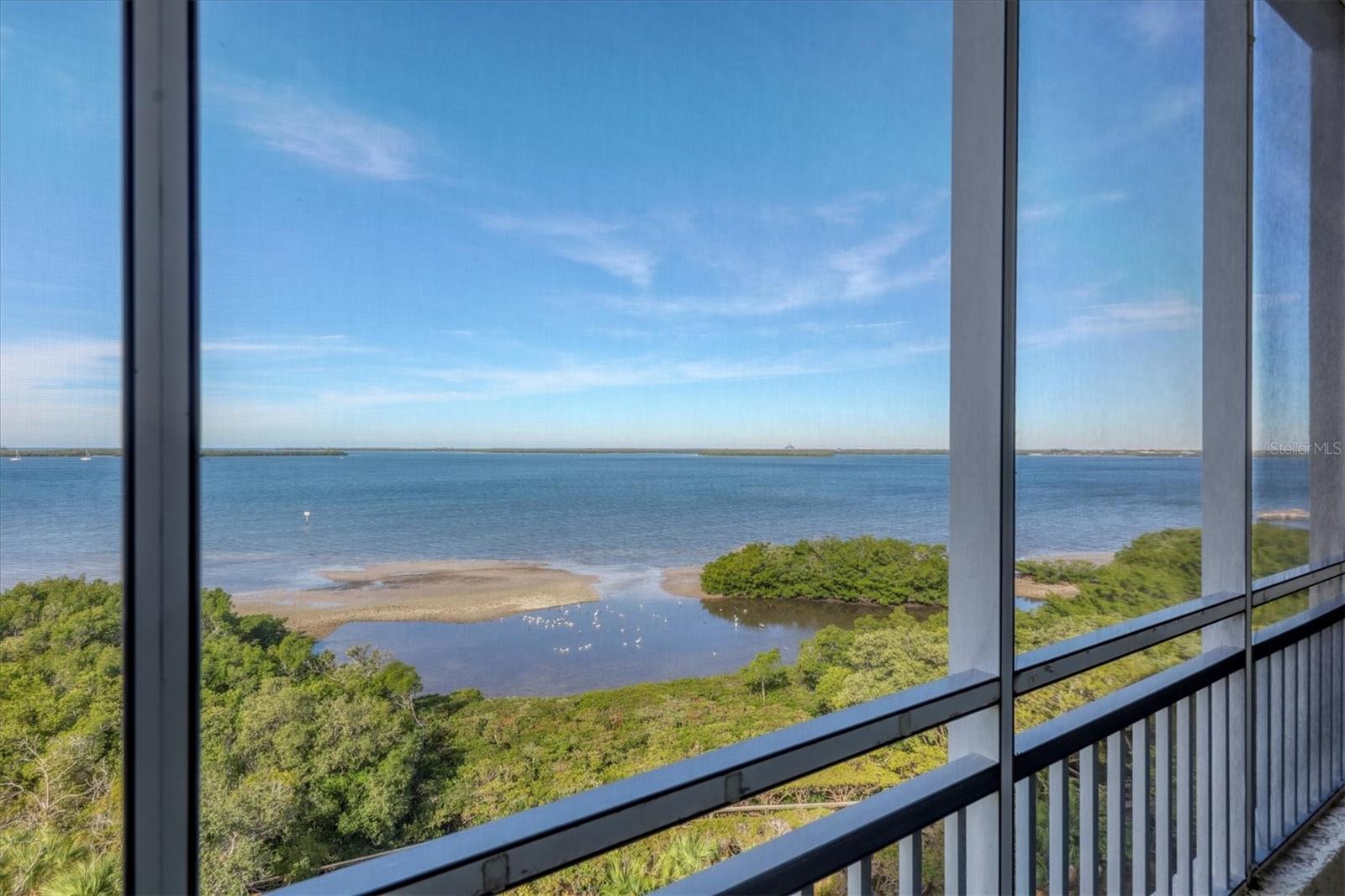 2715 TERRA CEIA BAY BOULEVARD 702