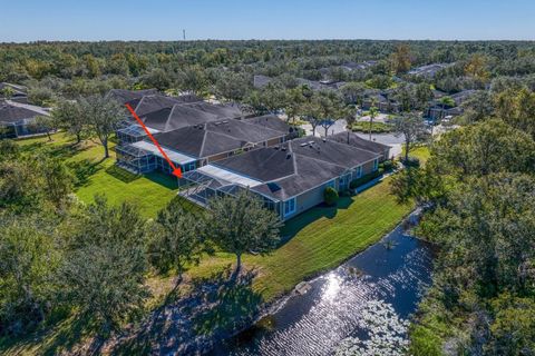 A home in TAMPA