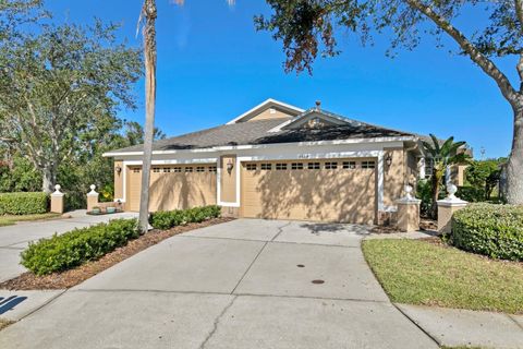 A home in TAMPA