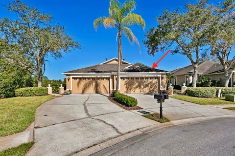 A home in TAMPA