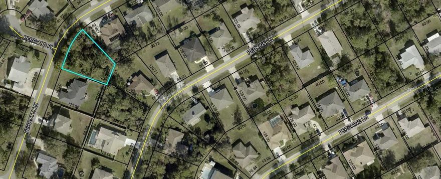 Beautiful oversized lot located in popular Belle Terre Subdivision. Choose your builder with no time limit. One of the few lots left in this nice neighbor. Conveniently located near schools, shopping, restaurants, medical facilities. You are a short distance to trails in the community if you enjoy walking, jogging or biking. Pickleball courts and golf courses are also close by. Very easy commute north to Historical St. Augustine and Jacksonville, or south to the "World’s Most Famous Beach," Daytona Beach. If you prefer, you can enjoy the day at beautiful Flagler Beach only a few minutes away with a beautiful pier that you can go fishing or just relax and enjoy the day! Palm Coast is a beautiful city with plenty of amenities to enjoy. Build your dream home here today!