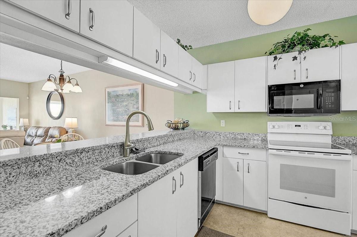 4215 CADDIE DRIVE E 102