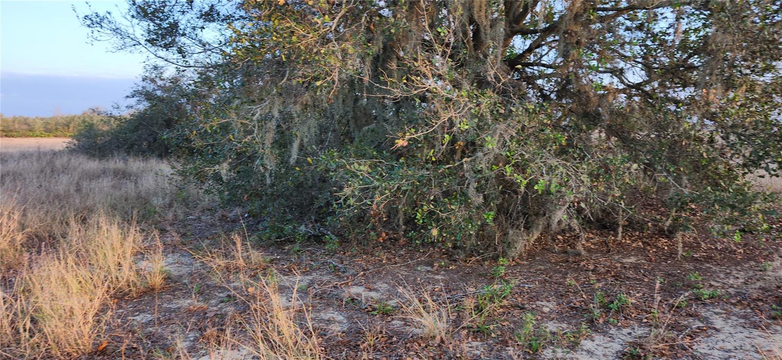 COMMERCIAL HIGHLANDS EAST - Land