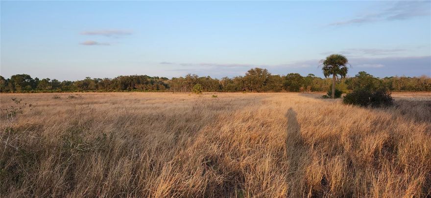 Future investment opportunity Highway 27 has a high traffic count making this piece of property very visible. Hold on to this agriculture land currently some building restrictions may be great for a future investment opportunity. Here is your opportunity to purchase a .38 acre property (50'x325') on busy Highway 27. Buyer due diligence with Polk county for utilites and future or possible use.
Parcel Details: 28-32-32-000000-013100