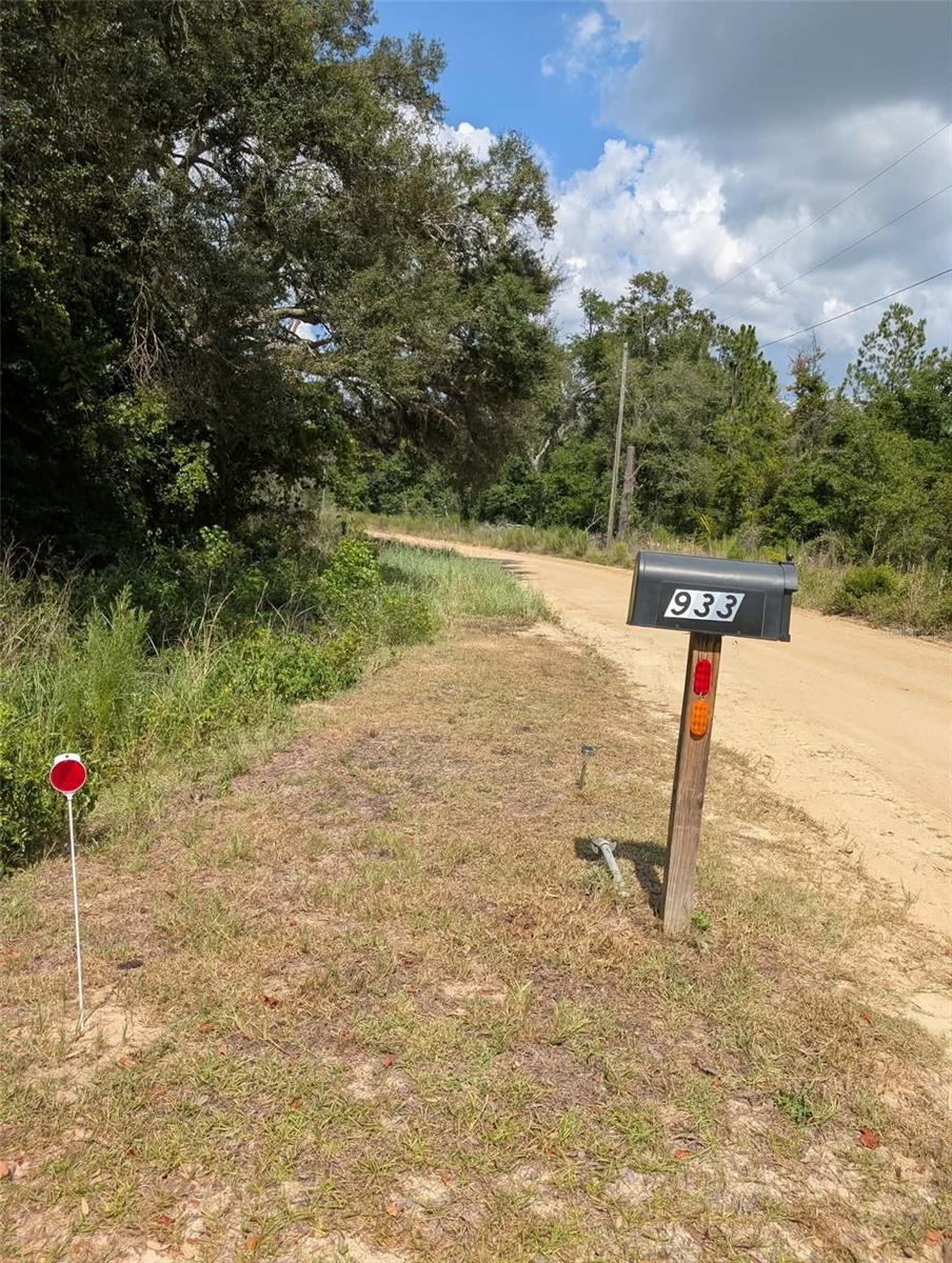 Photo of 933 NE Fir St, Pinetta, FL 32350 (MLS # S5153619)