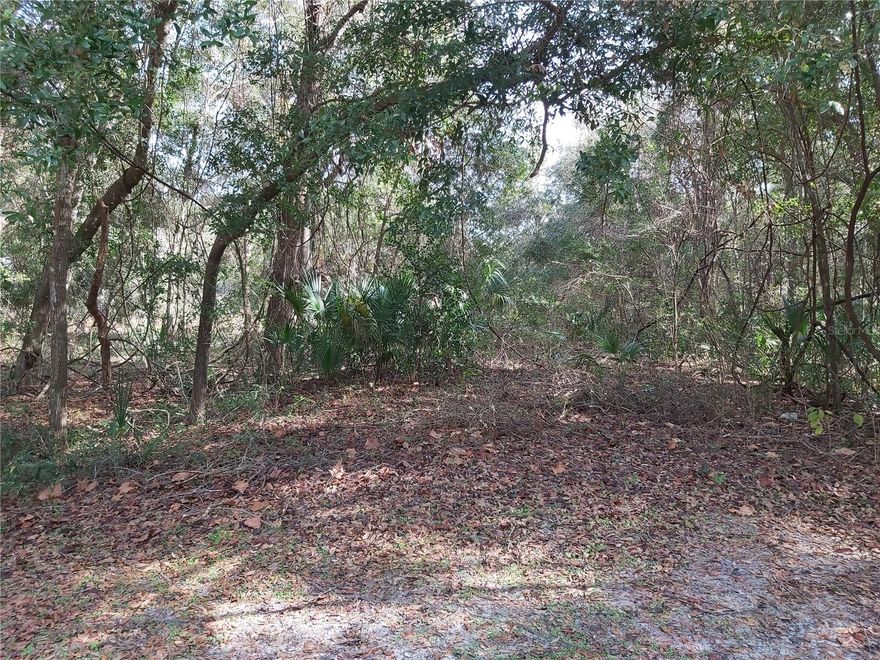 HALF AN ACRE OF HIGH AND DRY UNTOUCHED LAND! NO IMPACT FEES!!! This gem is not far from the main road but is nestled back for those wanting a little seclusion to get away from it all. This property is literally off the beaten path- the road to the property has grown-up and is currently not passible by car. Bring your plans and make this your own private haven. Zoned for a site built or manufactured home,  Property is only minutes to the Saint John's River and public boat ramps. 20 minutes to Palatka, 20 minutes to Crescent City. Crescent Beach, Salt Springs, Green Cove Springs and Keystone Heights are less than 45 minutes away. Less than an hour to Saint Augustine, Saint Augustine Beach, Flagler Beach, Palm Coast, Gainesville, Fort McCoy, Silver Glen and Ocala. World Famous Daytona Beach, Orlando theme parks, Jacksonville and Jacksonville Beach are less than 2 hours away.