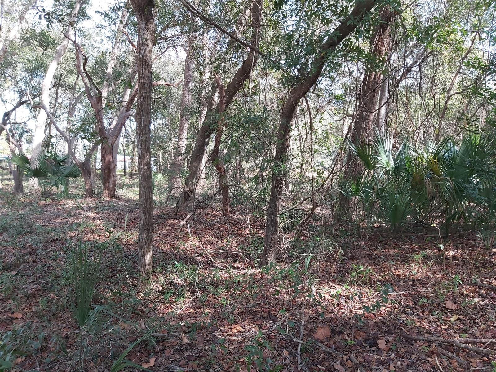 ST JOHNS RIVERSIDE ESTATES - Land