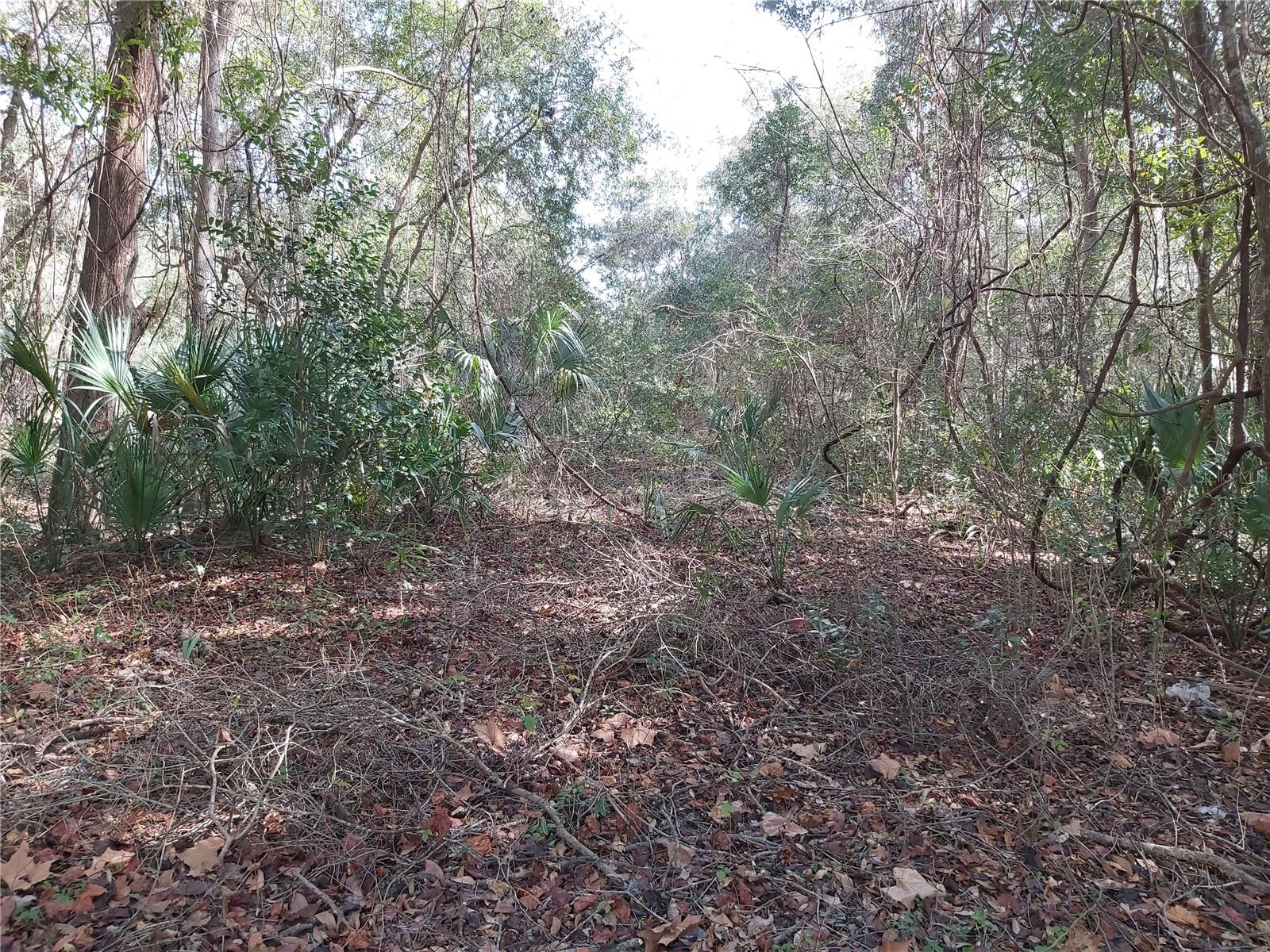 ST JOHNS RIVERSIDE ESTATES - Land