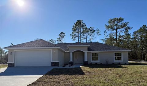 Photo of 15333 Honeycreeper Road, Brooksville, FL 34614 (MLS # TB8450295)