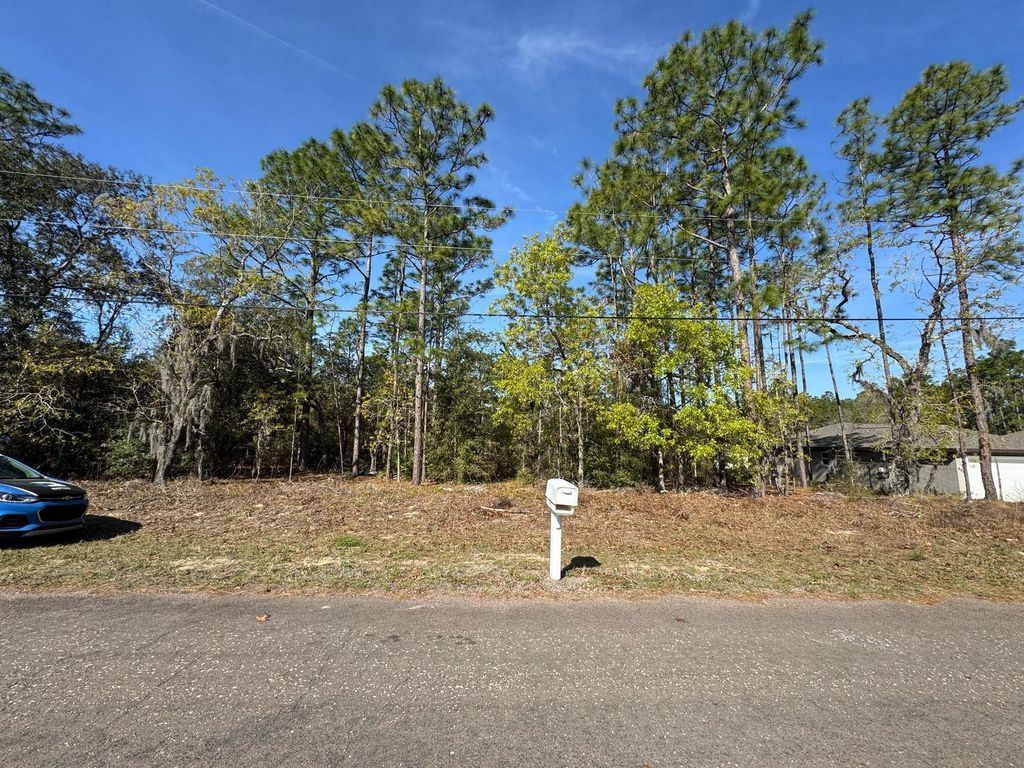 Photo of 6948 N Lockwood Way, Citrus Springs, FL 34434 (MLS # O6311240)