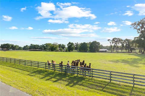 Tiny photo for 1345 NE 155th Place, Citra, FL 32113 (MLS # OM729643)