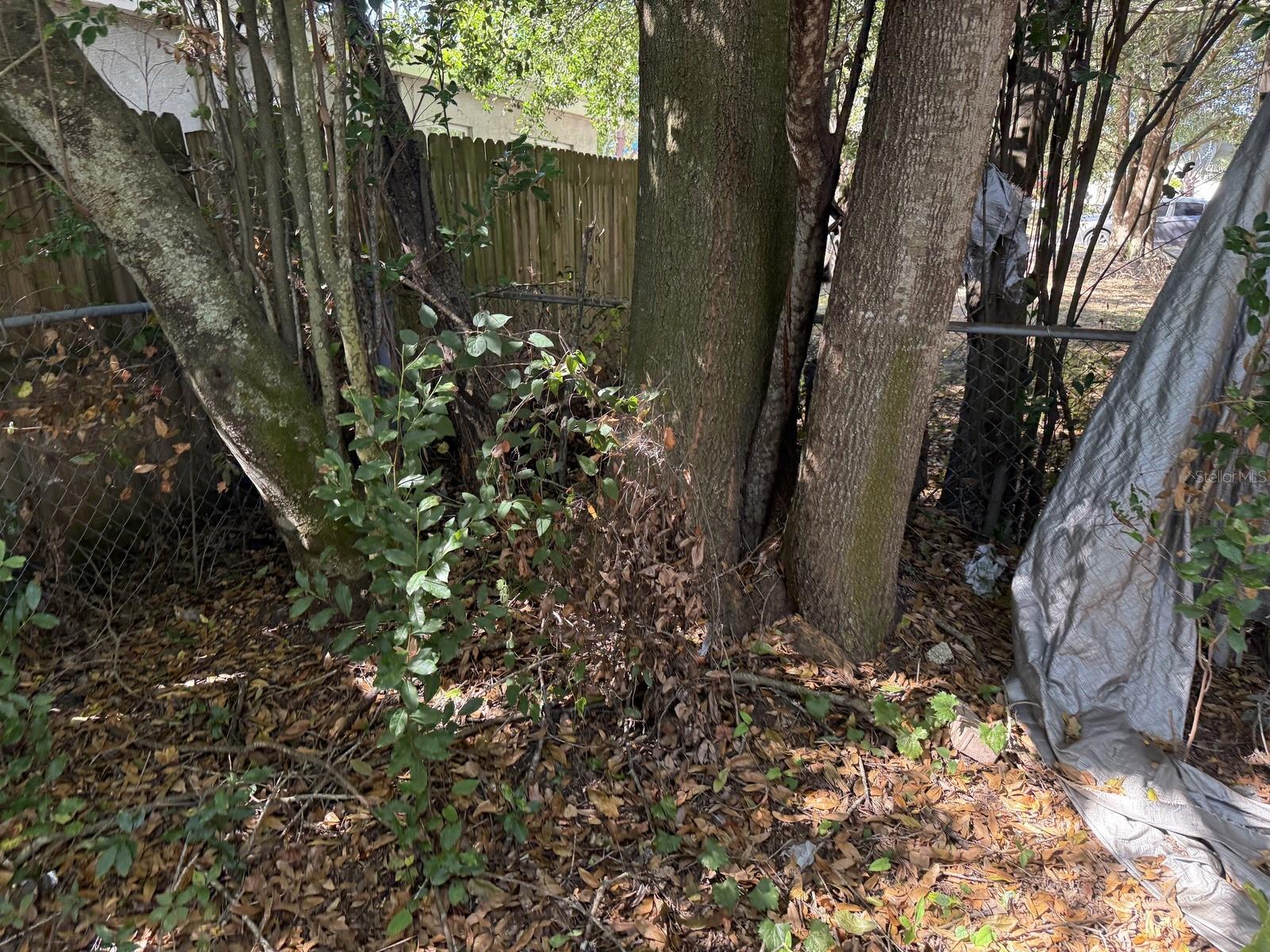 AYALAS GROVE SUB - Residential