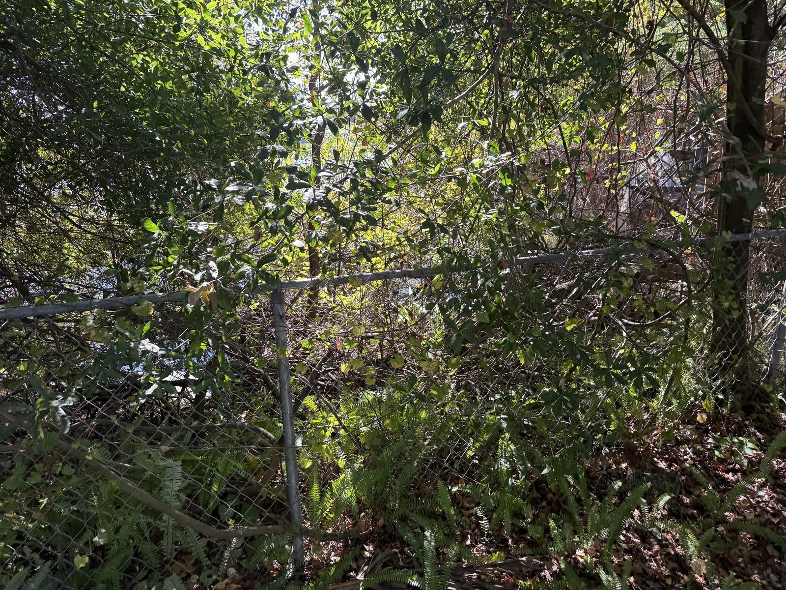 AYALAS GROVE SUB - Residential