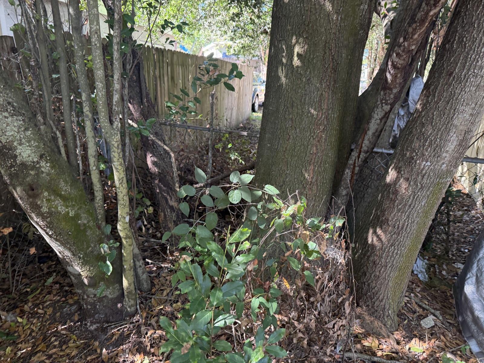 AYALAS GROVE SUB - Residential