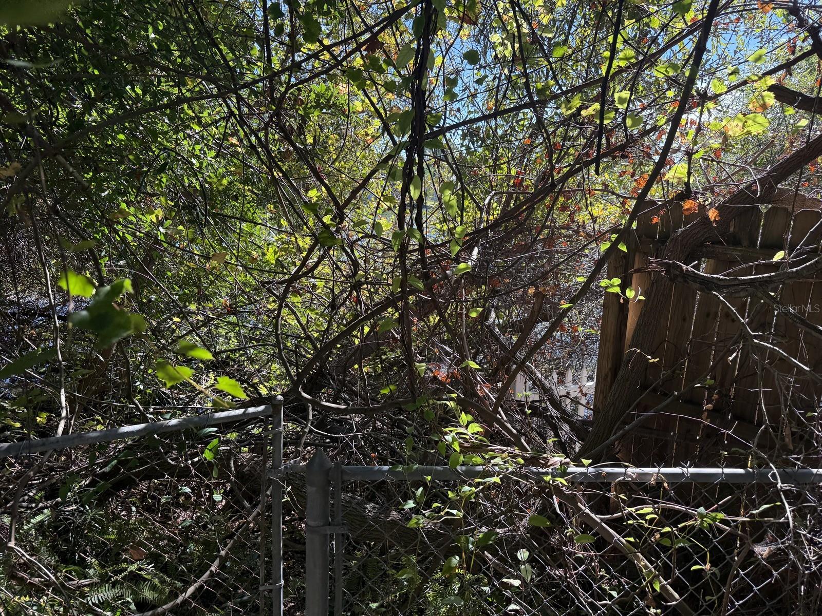 AYALAS GROVE SUB - Residential