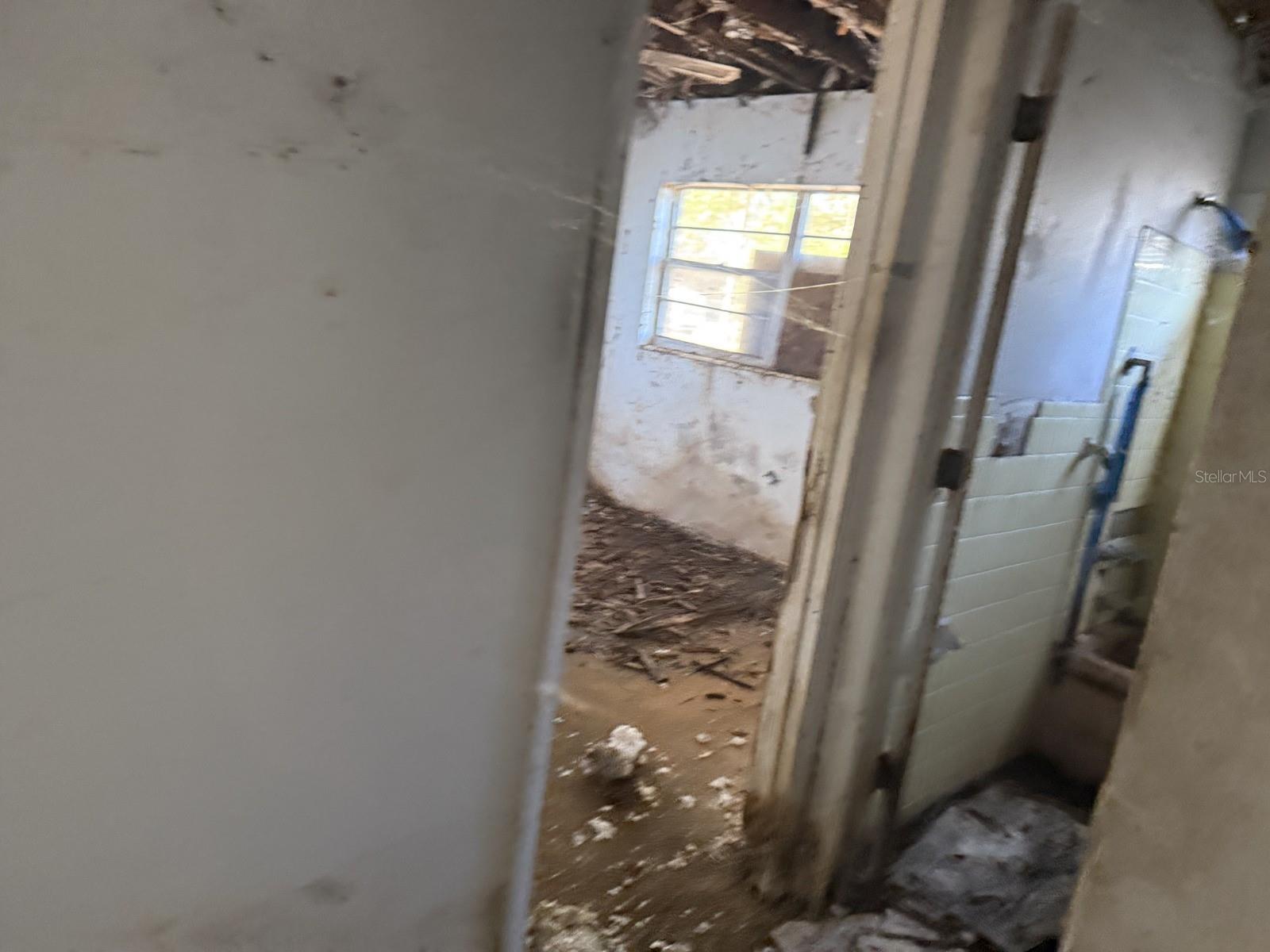 AYALAS GROVE SUB - Residential