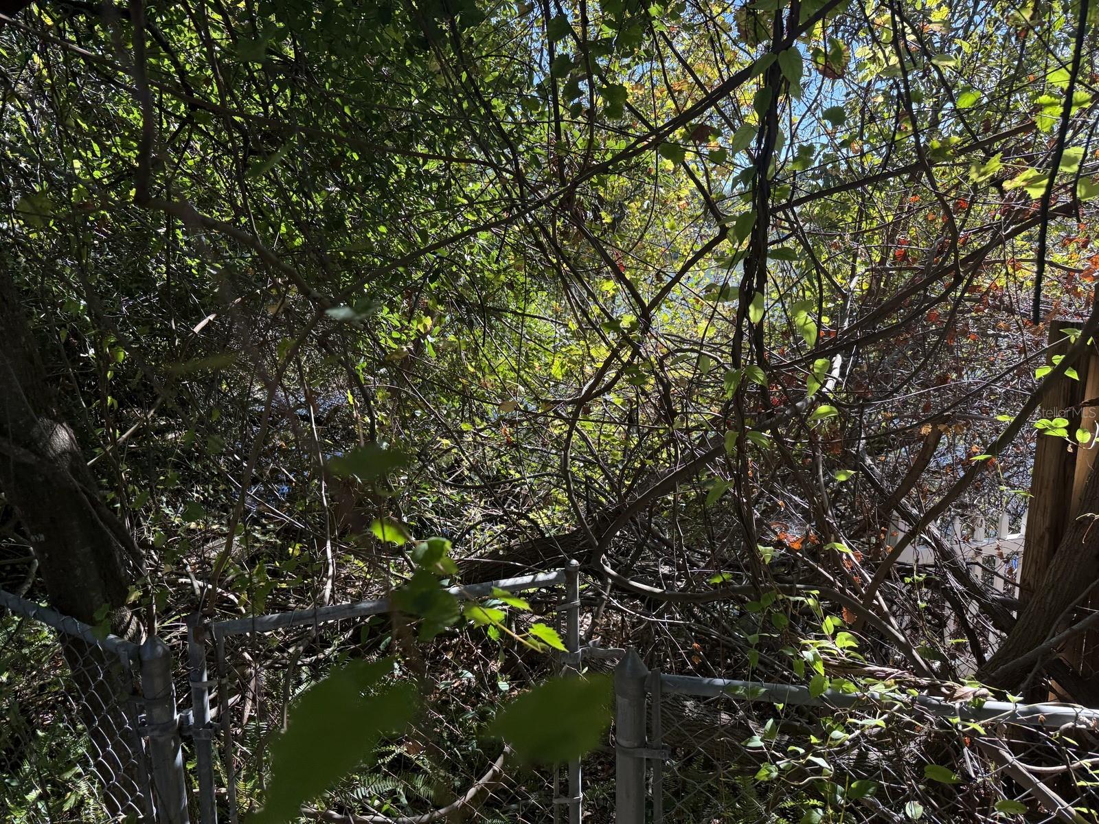 AYALAS GROVE SUB - Residential