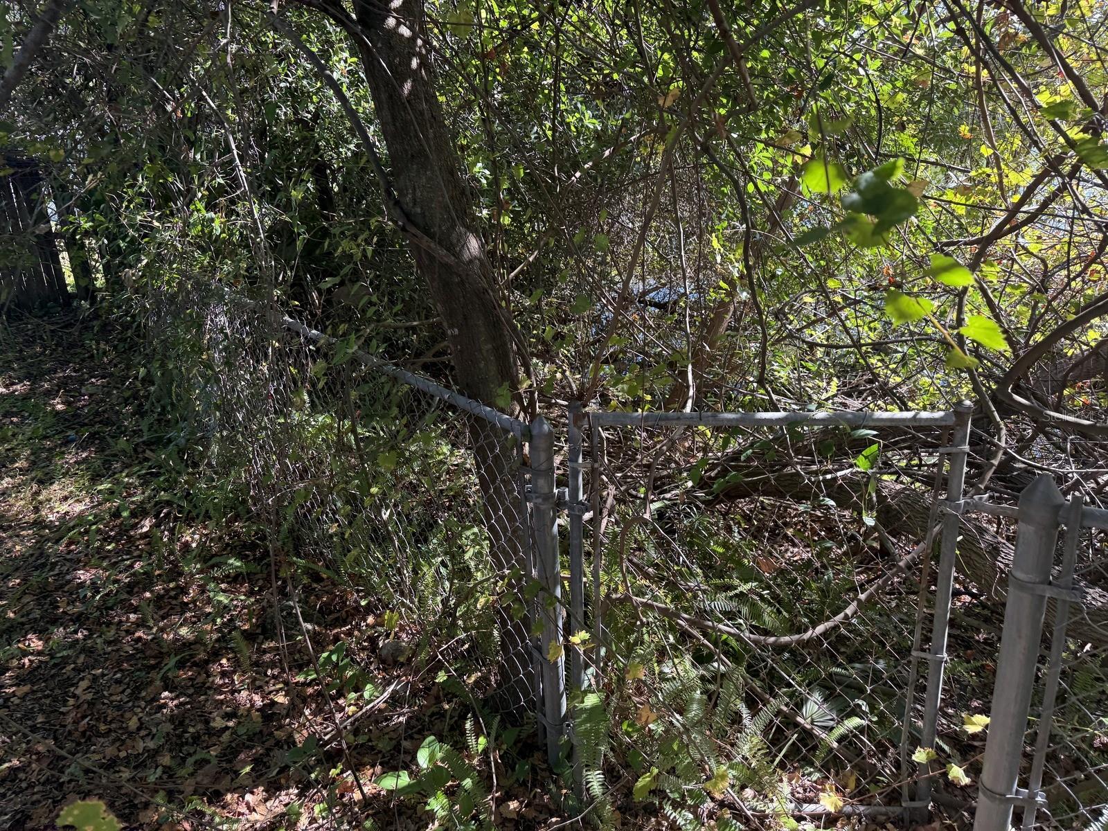 AYALAS GROVE SUB - Residential