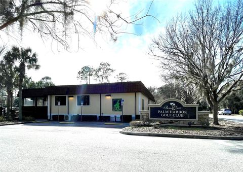 A home in PALM COAST