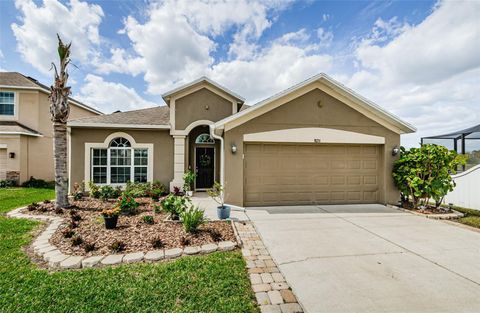 Photo of 9211 Seeger Lane, Land O Lakes, FL 34638 (MLS # TB8357612) Photo of 9211 Seeger Lane, Land O Lakes, FL 34638 (MLS # TB8357612)