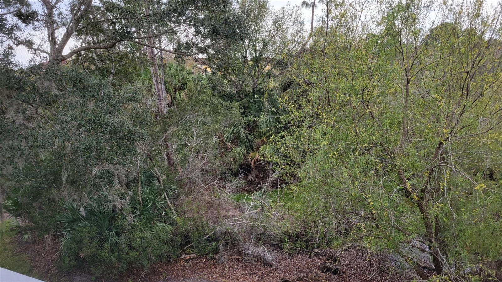 LAS PALMAS OF SARASOTA - Residential Lease