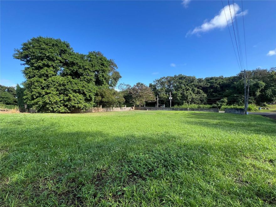 Lot land with 1,394 sqm ready to develop located in Rio Grande, PR. Near to Rout-66, restaurants, hospital, Las Picuas beach, El Yunque's rainforest, Kioskos de Luquillo. We can assist with the construction permits.