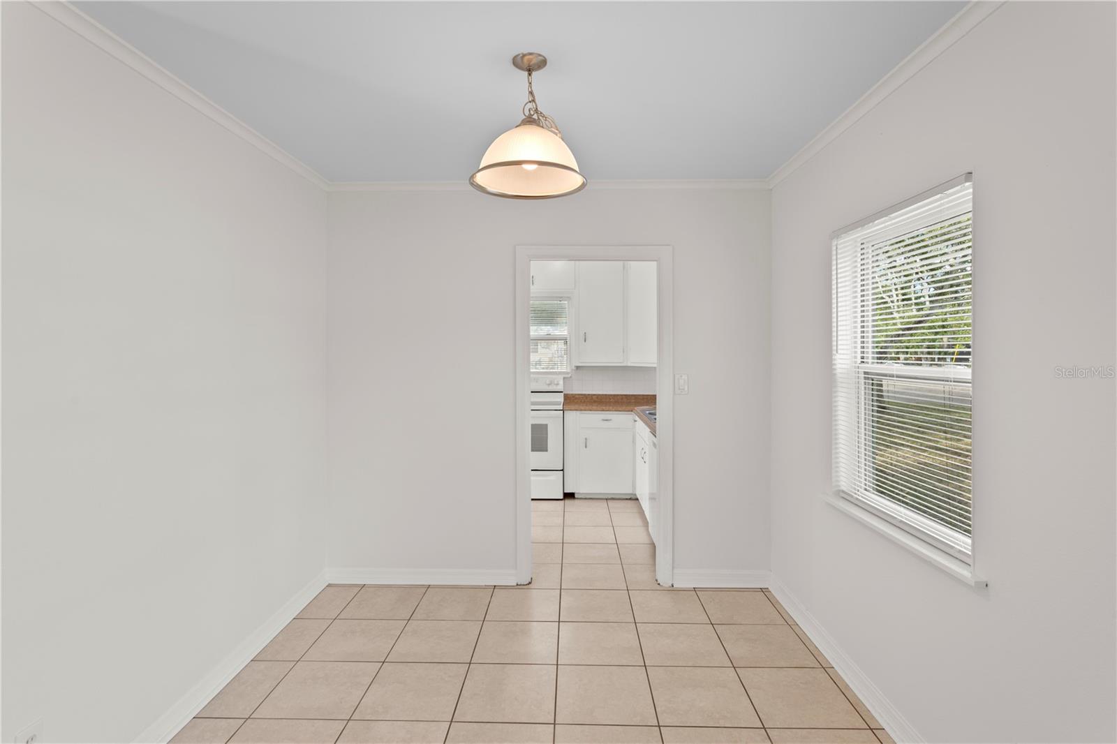 NORTH ST PETERSBURG - Residential