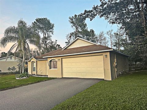 A home in DELTONA