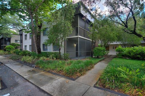 A home in TEMPLE TERRACE