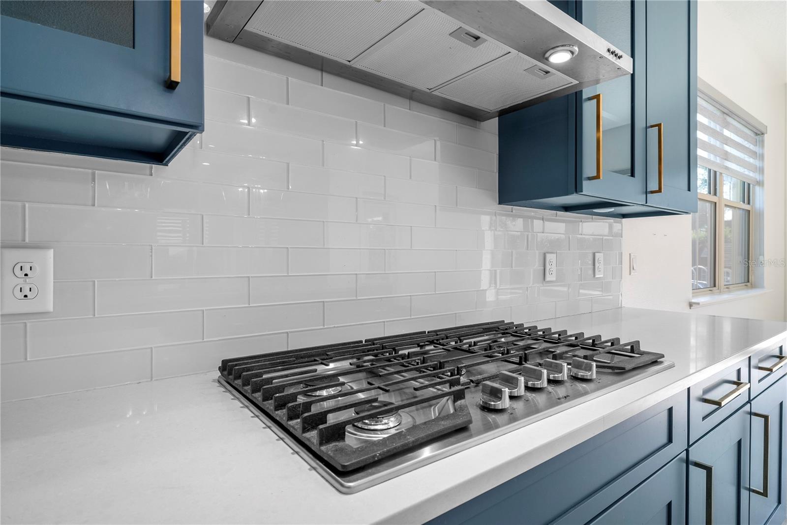 LAKESHORE PRESERVE - Residential